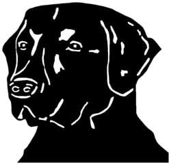 Lab Head 2 Vinyl Decal