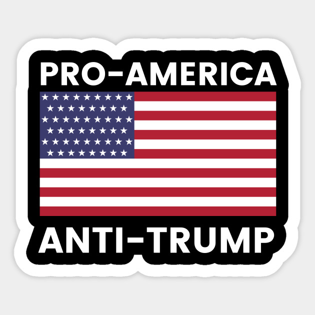 2020 PRO AMERICAN ANTI TRUMP STICKER
