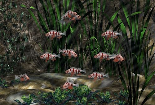 3D Object Vinyl Wall Decals 49