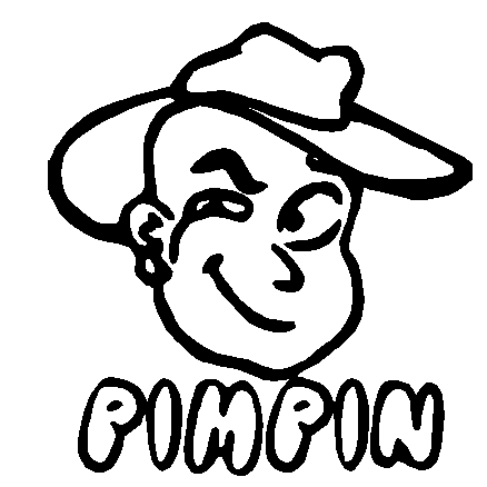 Pimpin car decal - 880