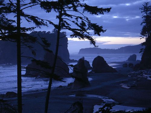 Beaches and Coastal Vinyl Wall Graphics 111