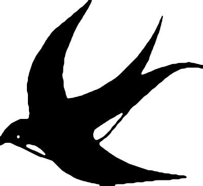 Bird Birds animal Car or Wall Vinyl Decal Sticker 17
