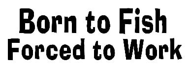 Born to Fish Forced to Work Sticker