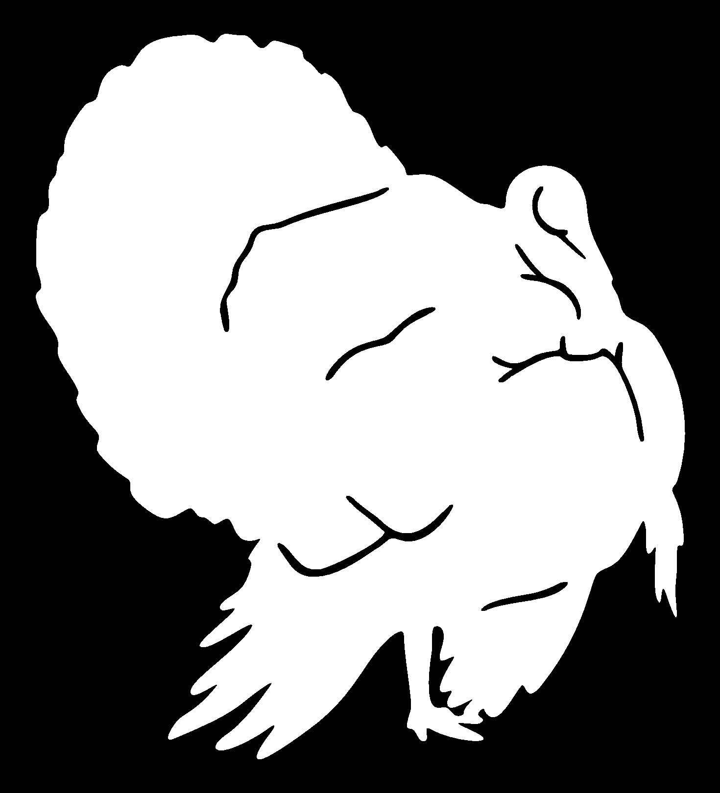 Duck Decals Car Stickers 4