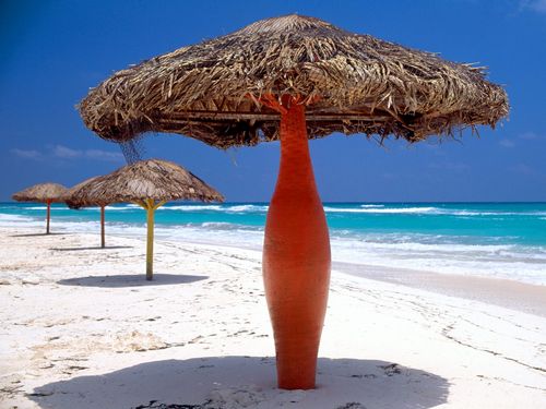 Beaches and Coastal Vinyl Wall Graphics 016