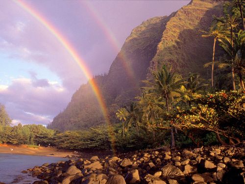 Rainbow Vinyl Wall Art Graphics 06