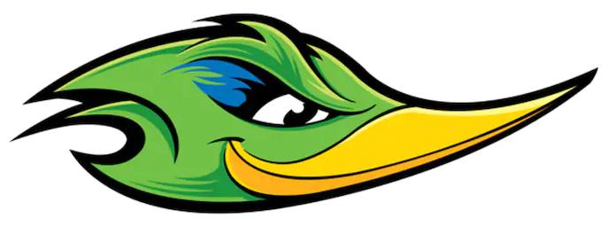 roadrunner-green head sticker