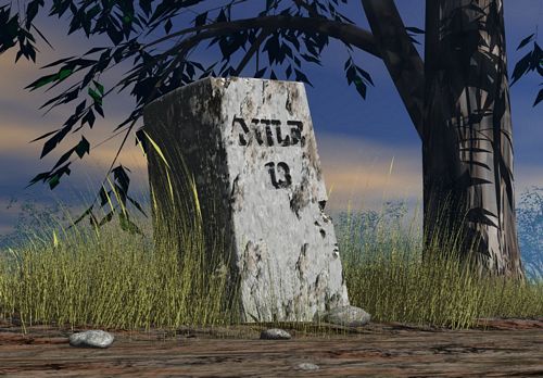 3D Object Vinyl Wall Decals 34