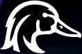 wood duck head decal