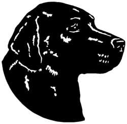 Lab Head Vinyl Decal