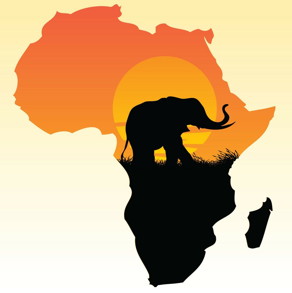 African Animal Stickers COLOR 5