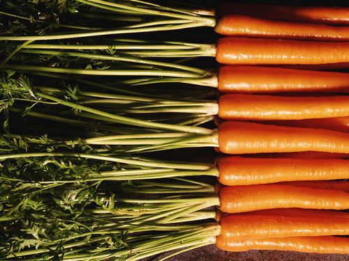 Close Up Photography Vinyl Graphics 22