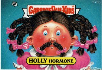 HOLLY Hormone Funny Sticker Name Decal