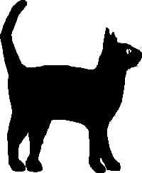 Black Cat Decal