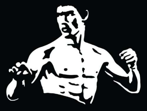 Bruce Lee Vinyl Decal Sticker 2