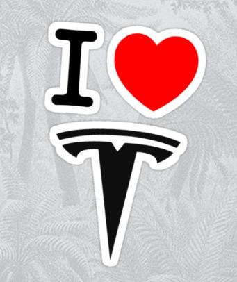 I LOVE TESLA STICKER 2