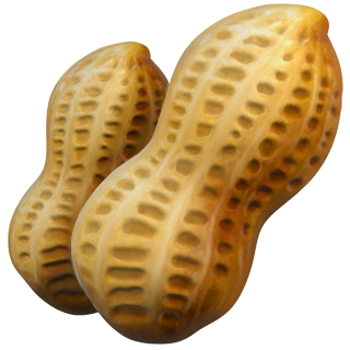 peanut emoji