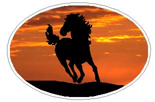 Oval Stallion Decal