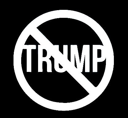 2020 NO-Trump-Window-DIE CUT Decal