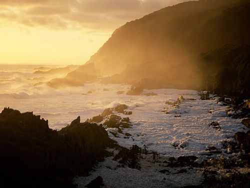 Beaches and Coastal Vinyl Wall Graphics 013