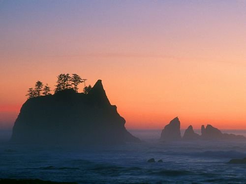 Beaches and Coastal Vinyl Wall Graphics 095