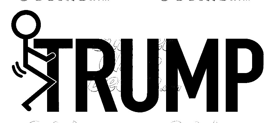 2020 TRUMP political sticker  12
