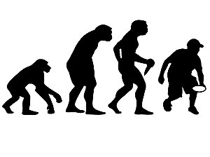 Disc Golf Evolution Diecut Decal