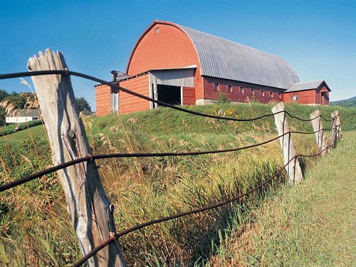 Landscape Vinyl Wall Graphic Decals 54