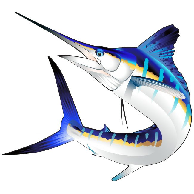 Marlin Color Fish Sticker 6