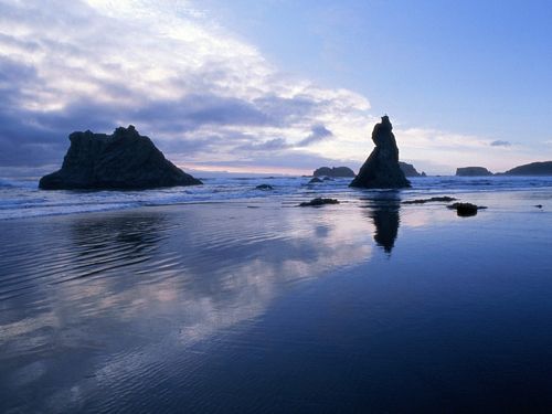 Beaches and Coastal Vinyl Wall Graphics 025