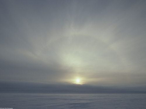 Oceans and Surf Wall Graphic Decals 28