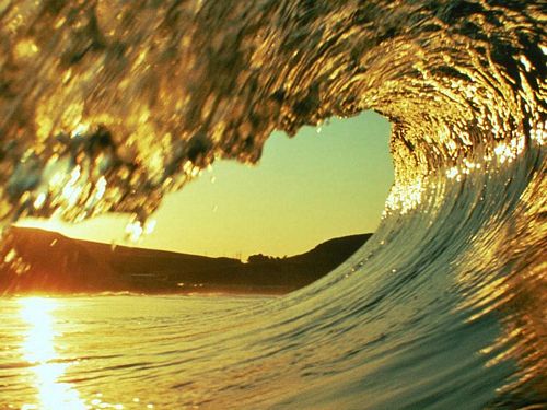 Oceans and Surf Wall Graphic Decals 35