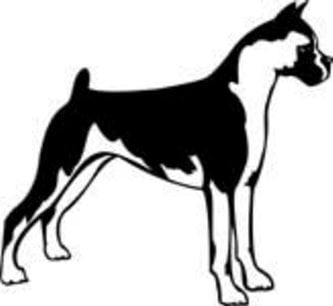15E Boxer Dog Decal