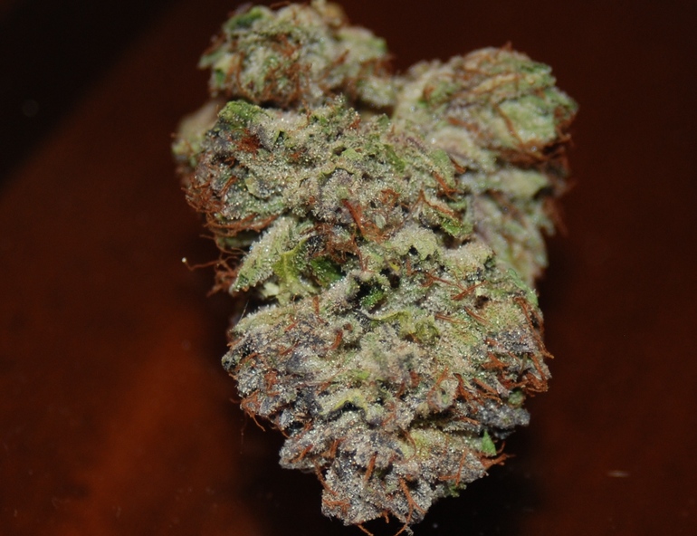 bud picture 13