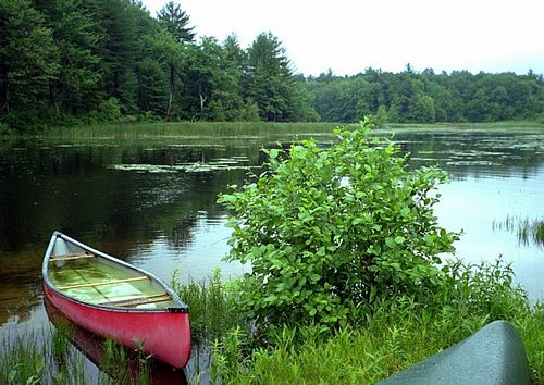 Buildings and Bridges Wall Decals 11