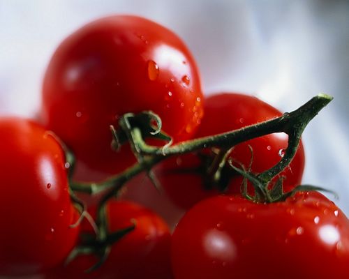 Close Up Photography Vinyl Graphics 23