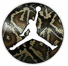 JUMP CIRCLE - SKIN SNAKE