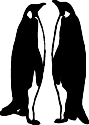 Bird Birds animal Car or Wall Vinyl Decal Sticker 10