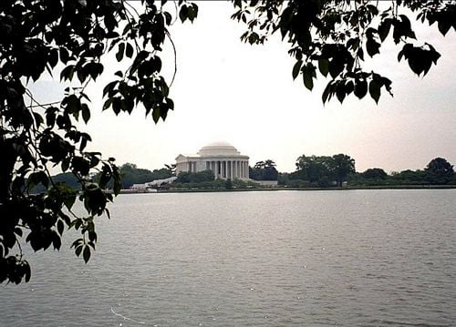 Buildings and Bridges Wall Decals 39