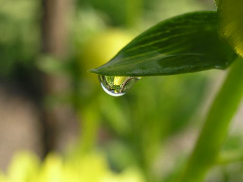 Spring TIme Vinyl Wall Decals 48