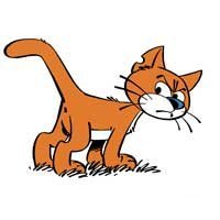 Azrael Wizzards Evil Cat Decal