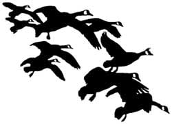 Goose String Vinyl Truck Decal