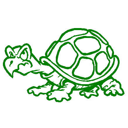 Turtle vinyl auto decal