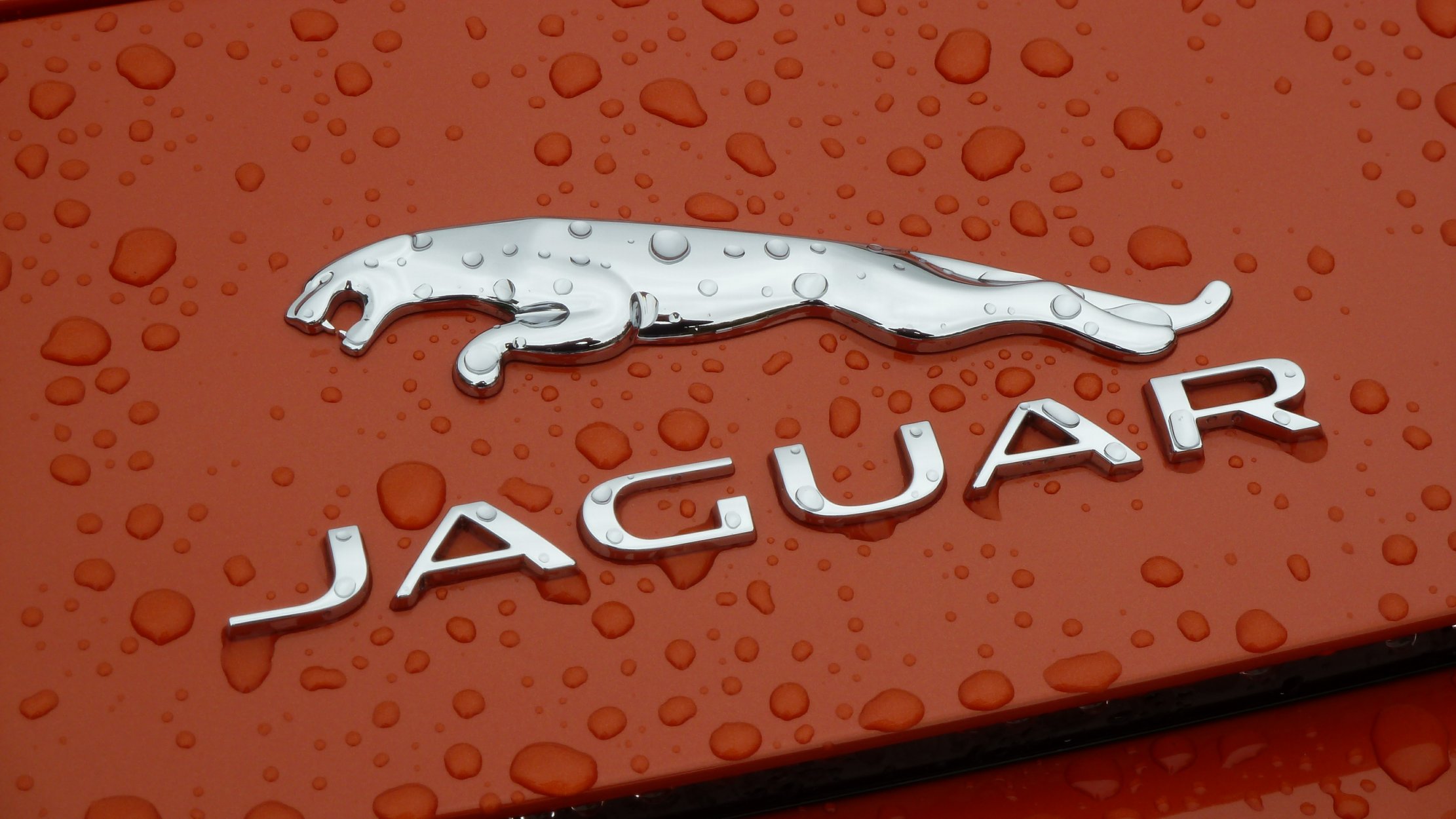 Jaguar orange wallpaper sticker 3