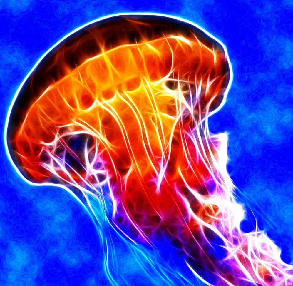 psychedelic animals car window or wall decal 7