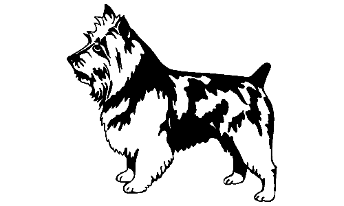 035 Australian Terrier Decal