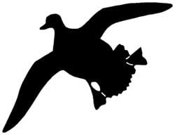 Single Mallard Decal