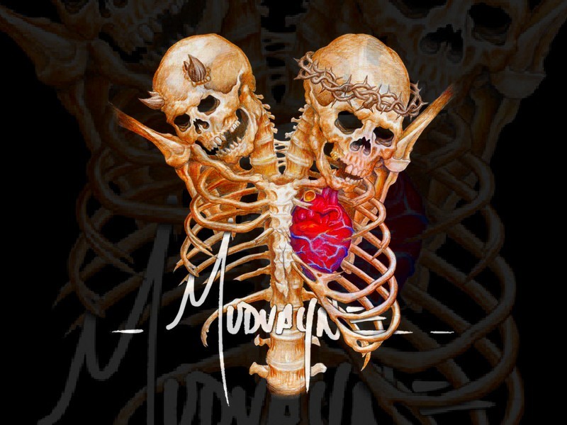 MudVaYne Color Band Decal