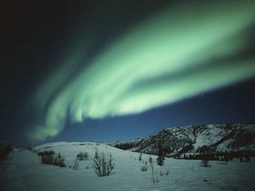 Forces of Nature Adhesive Wall Art 07